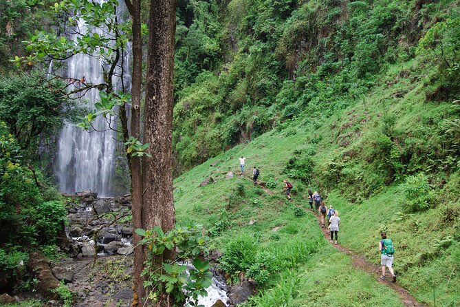 Private Tour to Materuni Waterfalls, coffee tour, Kikuletwa Hot Springs & Maasai - Key points at a glance