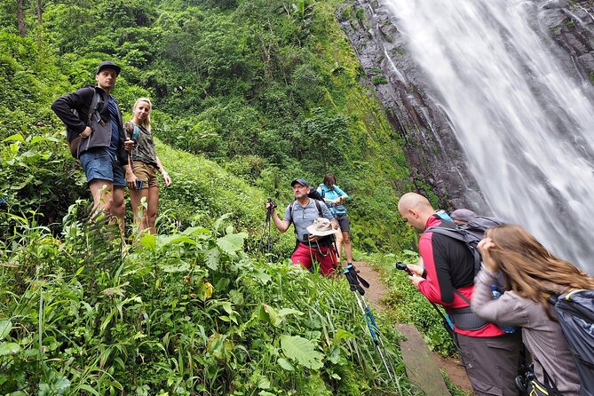Private Tour to Materuni Waterfalls, coffee tour, Kikuletwa Hot Springs & Maasai - Turning coffee into your own cup