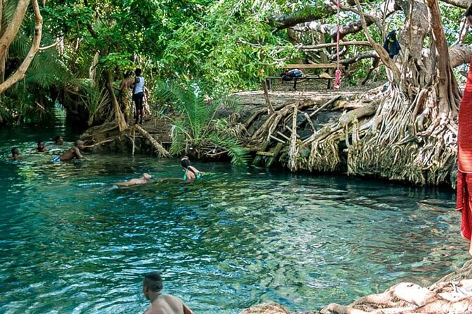Private Tour to Materuni Waterfalls, coffee tour, Kikuletwa Hot Springs & Maasai - Local beer and a different side of village life