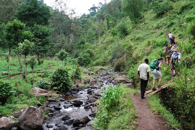 Private Tour to Materuni Waterfalls, coffee tour, Kikuletwa Hot Springs & Maasai - Lunch, wine, water, and the practical details