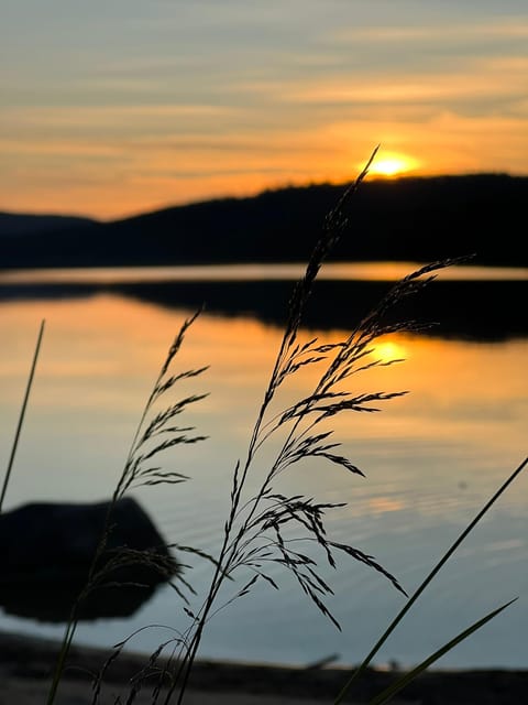 Private Traditional Sauna, Ice Dip and Dinner in the Wild - The personal touch from Heli and Soma Adventures