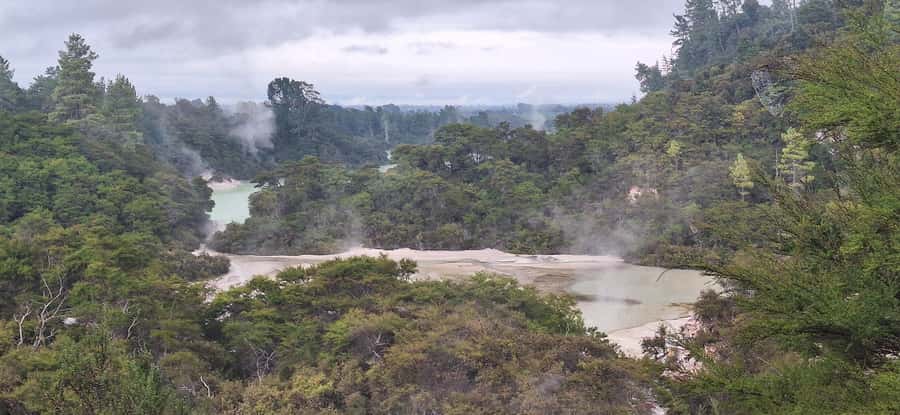 Private VIP Luxury Auckland - Rotorua Geothermal Wonderlands - Rotorua lunch keeps the middle of the day practical