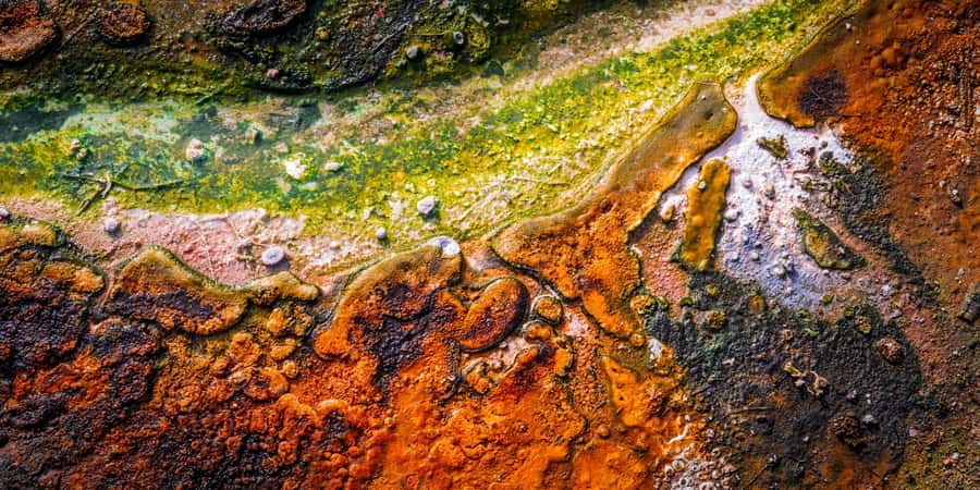Private VIP Luxury Auckland - Rotorua Geothermal Wonderlands - Maori culture is present, but not the main event