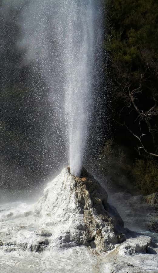 Private VIP Luxury Auckland - Rotorua Geothermal Wonderlands - The return to Auckland requires stamina