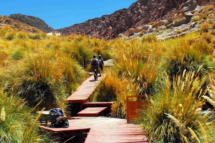 Puritama Hot Springs - Tour : San Pedro de Atacama - Chile - Key points at a glance