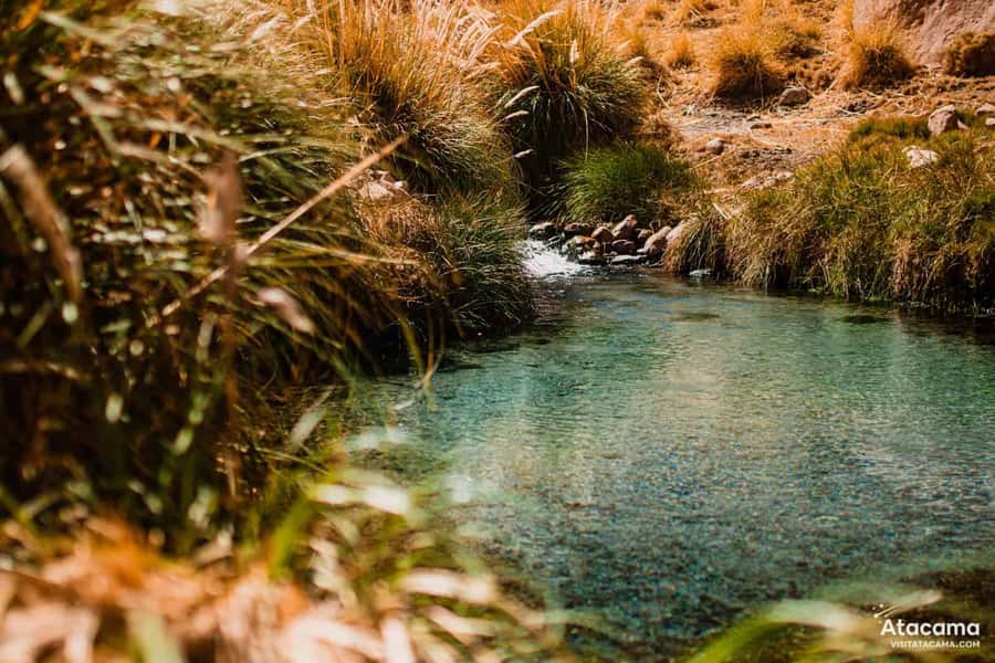 Puritama Hot Springs - Tour : San Pedro de Atacama - Chile - What the thermal pools are like