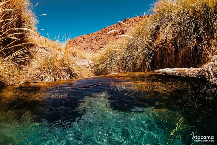 Puritama Hot Springs - Tour : San Pedro de Atacama - Chile - A guide adds context to the scenery