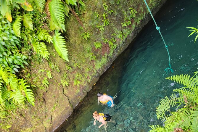 Relax in Hot Springs and swim in Titou Gorge and Trafalgar Falls - Timing, transport, and group size