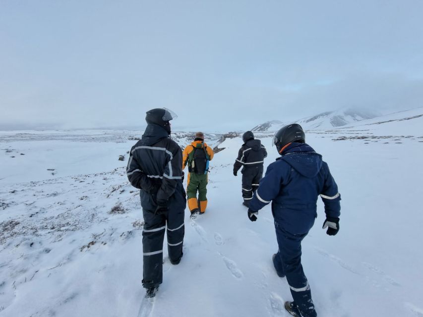 Reykjahlid: Snowmobile Adventure by Lake Mývatn - Why snowmobiling fits Mývatn so well
