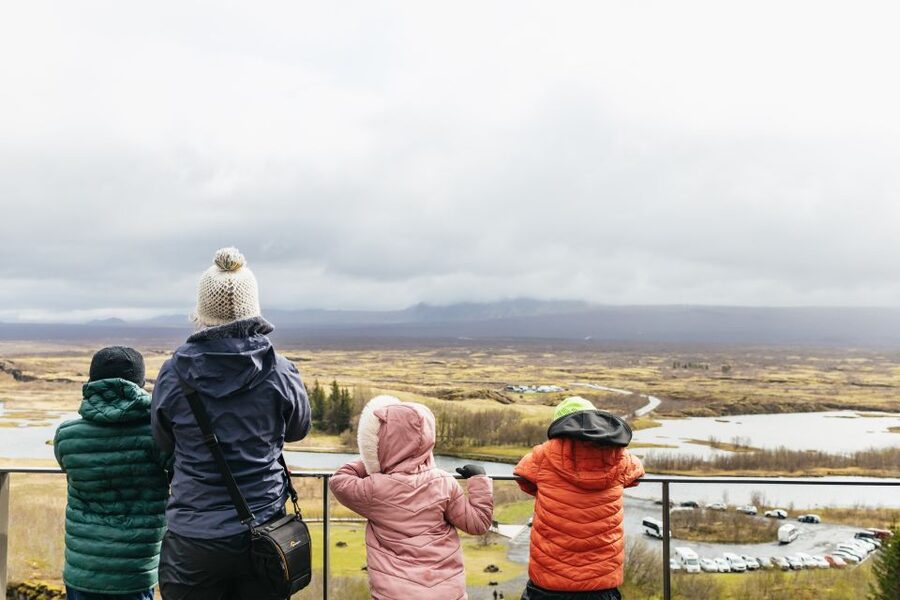 Reykjavik: Golden Circle, Crater & Blue Lagoon Minibus Tour - The Blue Lagoon is the reward at the end