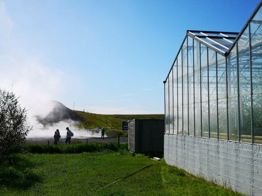 Reykjavik: Lava Cave, Hot Springs, Horses & Waterfalls Tour - Is the $222 price fair?