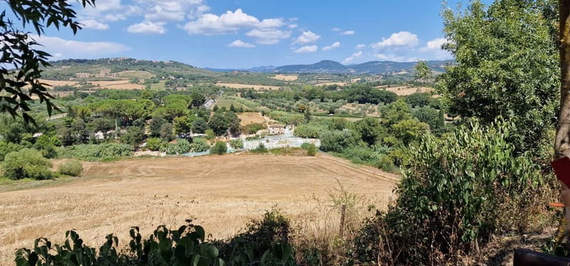 Rome to Saturnia ; Thermal Springs Day Trip with Lunch - What the guide adds to the day