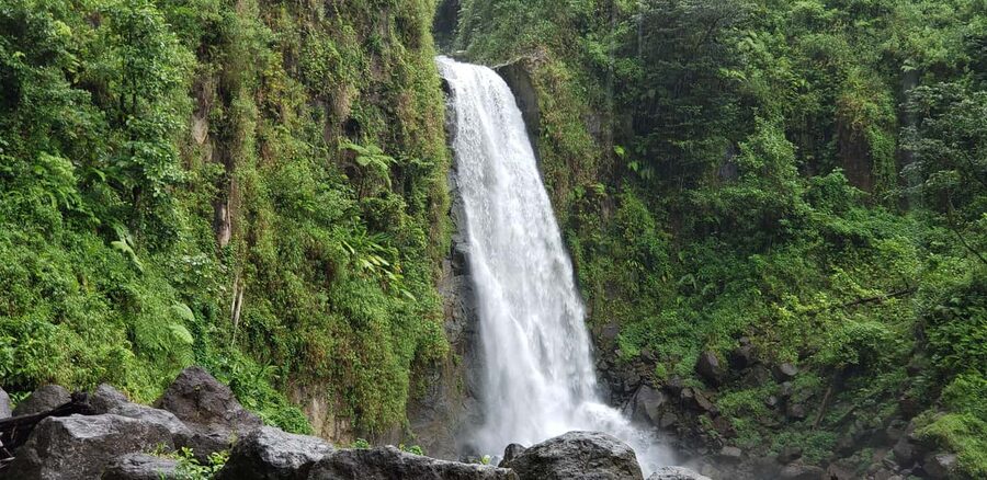 Roseau: Titou Gorge, Hot Spring, Falls & Champagne Reef Tour - Key things to know before booking