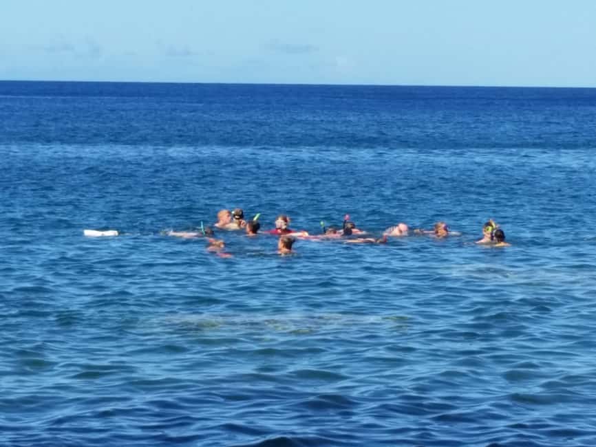 Roseau: Titou Gorge, Hot Spring, Falls & Champagne Reef Tour - Why this six-hour tour works for a short Dominica visit