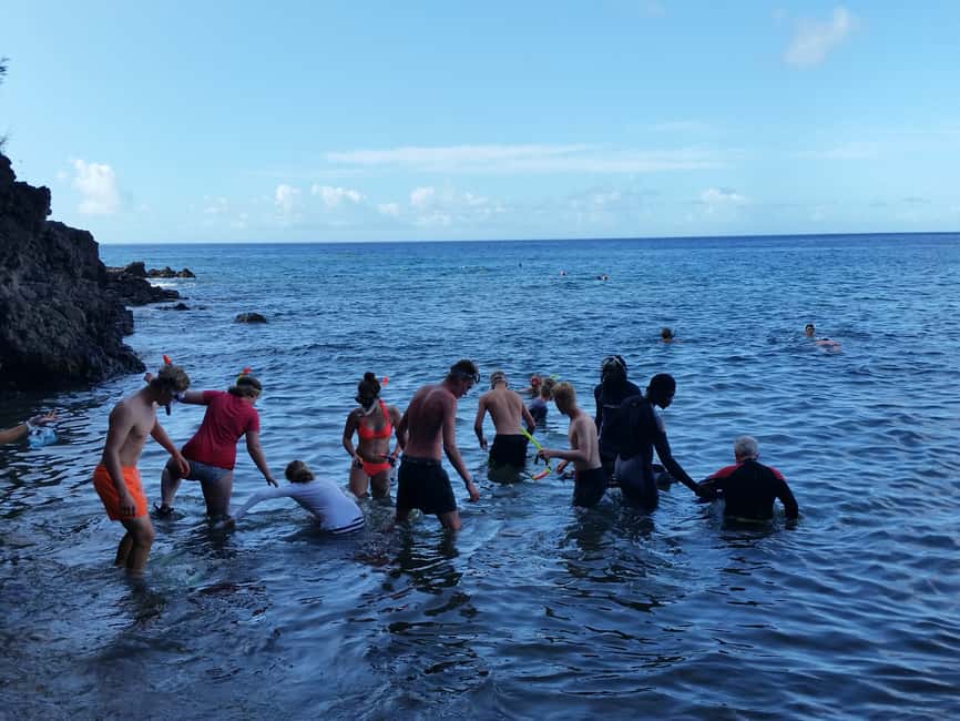 Roseau: Titou Gorge, Hot Spring, Falls & Champagne Reef Tour - Swimming through Titou Gorge