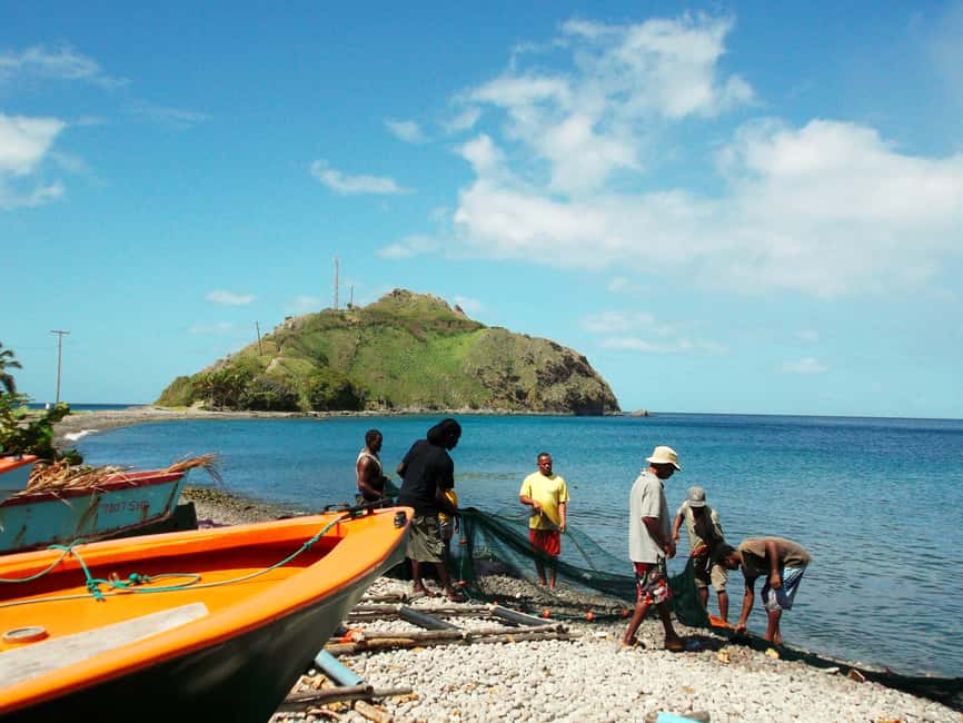 Roseau: Titou Gorge, Hot Spring, Falls & Champagne Reef Tour - The Botanical Gardens and Morne Bruce view