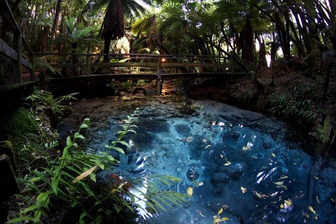 Rotorua Cultural & Geothermal Small Group Tour From Auckland - The 7:00 am pickup in central Auckland
