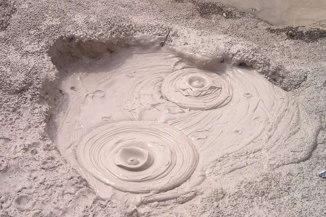 Rotorua Geothermal Wonderland Tour – Departs Tauranga - The guide can make or break the day