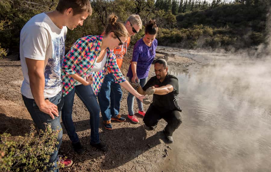 Rotorua: Hell's Gate Geothermal Walk - Is the $26 price good value?