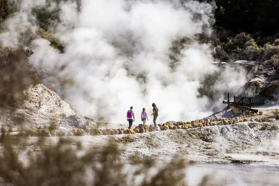 Rotorua: Hell's Gate Geothermal Walk - Māori carving and the mud foot pool
