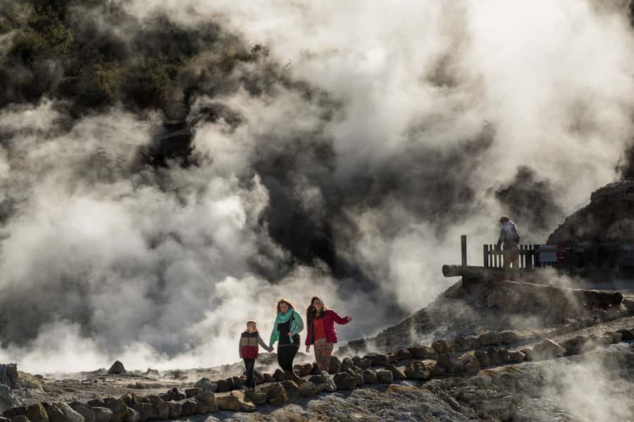 Rotorua: Hell's Gate Geothermal Walk - Choosing between the self-guided and guided walk