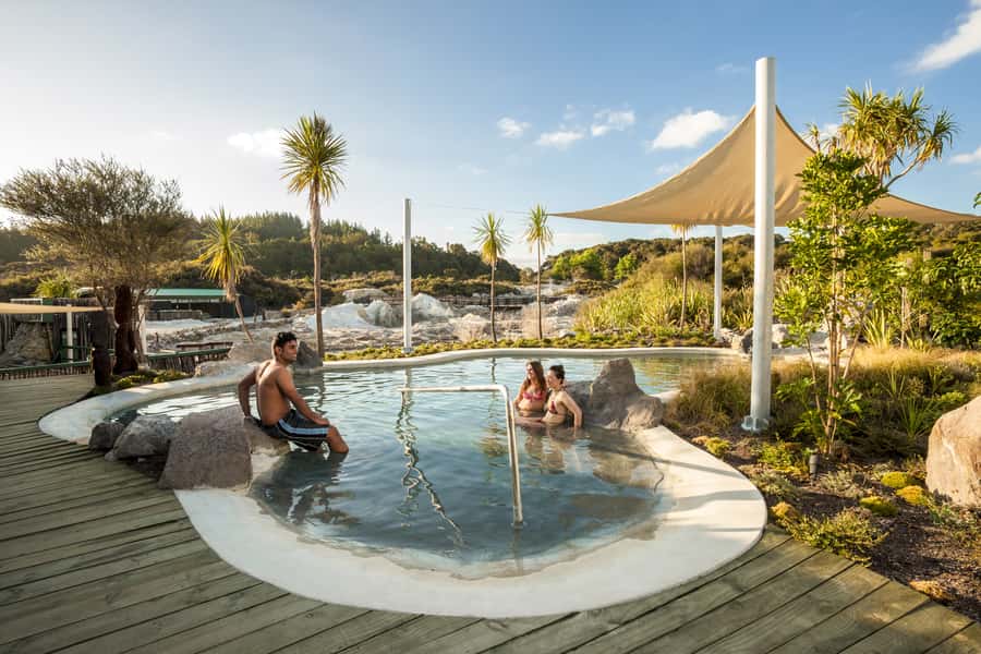 Rotorua: Hell's Gate Outdoor Mud Spa & Guided Walk - The 20-minute mud bath
