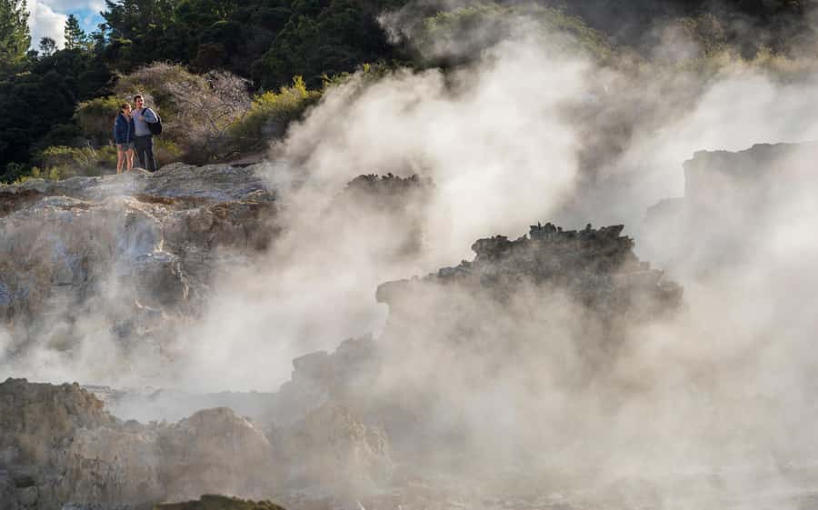 Rotorua: Hell's Gate Outdoor Mud Spa & Guided Walk - Relaxing in the sulfur spa and cool plunge pool