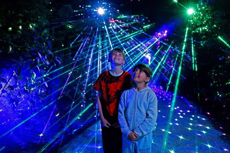 Rotorua: Marama Geyser Light Trail & Geothermal Experience - Maisey Rika’s music gives the trail a local voice