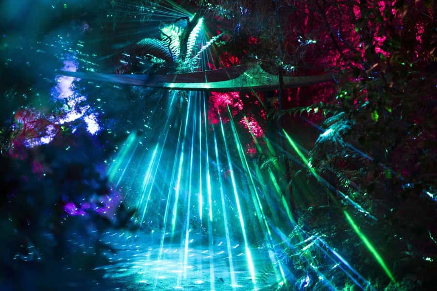 Rotorua: Marama Geyser Light Trail & Geothermal Experience - Who will enjoy Mārama most?