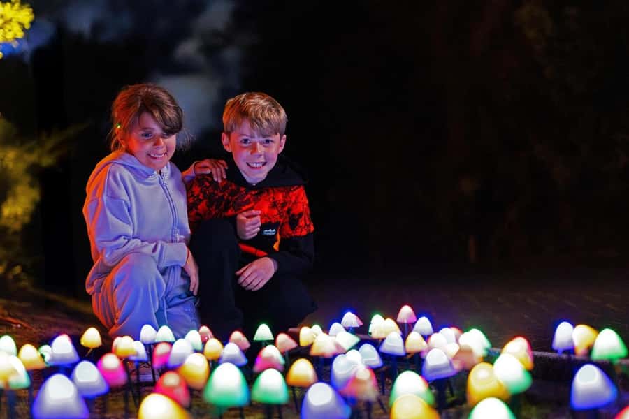 Rotorua: Marama Geyser Light Trail & Geothermal Experience - Practical tips for a smoother evening
