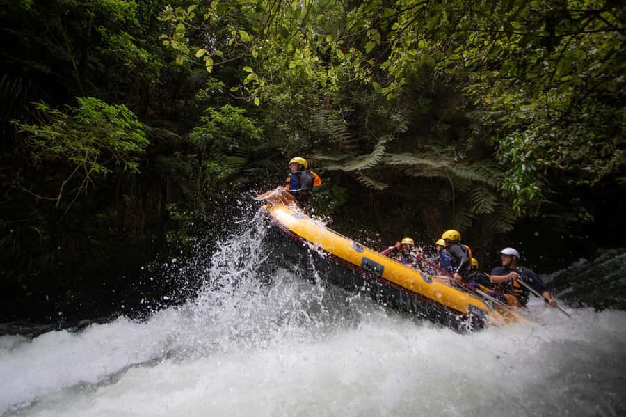 Rotorua Rafting: Kaituna River Rafting Experience-Free Sauna - The forest, water, and sense of place