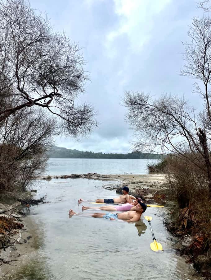 Rotorua: Secret adventure kayaking to natural hot springs - Wildlife, views, and the pace of the outing