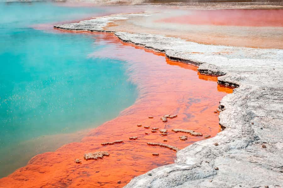 Rotorua: Wai-O-Tapu Geothermal Park Entry Ticket - The three walking loops, and how to choose