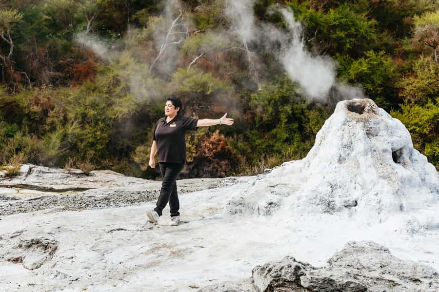 Rotorua: Wai-O-Tapu Geothermal Park Entry Ticket - Native bush adds welcome contrast