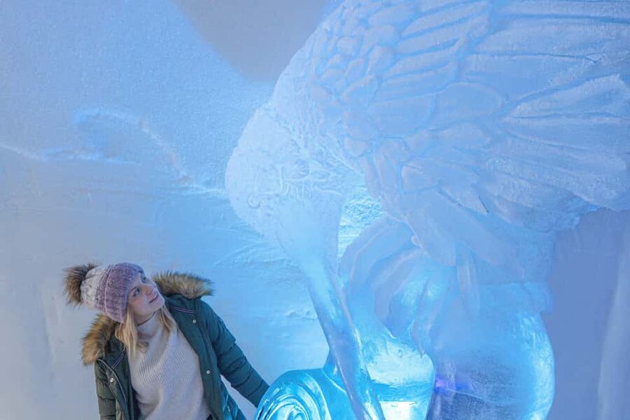 Rovaniemi: Arctic SnowHotel Tour and Snow Sauna Experience - Who should book this experience?