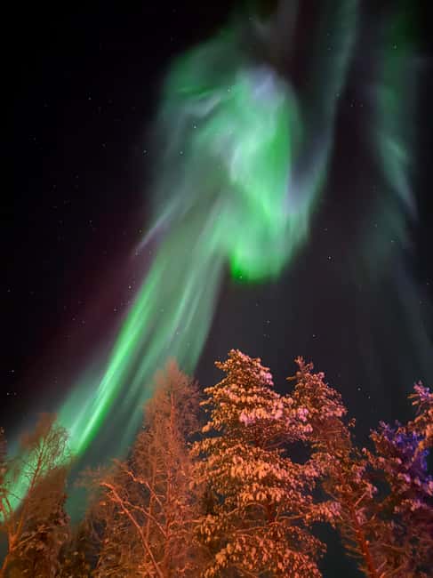 Rovaniemi: Finnish Sauna & Private Jacuzzi - Who will enjoy this most?