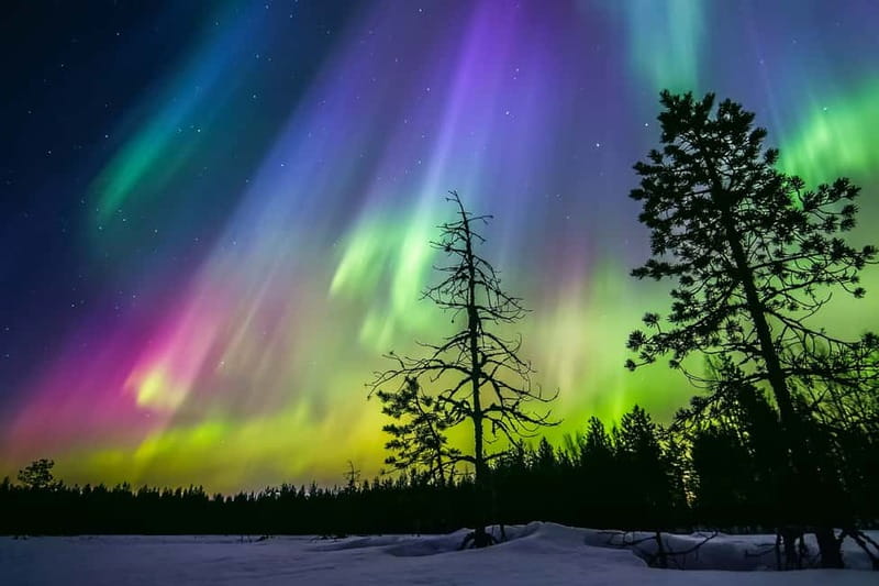 Rovaniemi: Lakeside Private Sauna with Aurora Borealis - What happens during the three-hour outing
