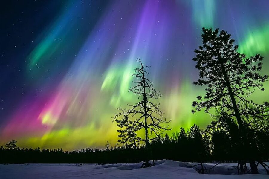Rovaniemi: Northern Lights Trip with Arctic Sauna & Jacuzzi - Timing, group size, and family rules