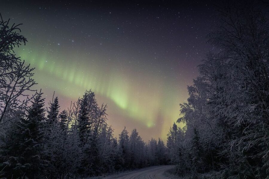 Rovaniemi: Sauna & Ice Swimming Tour with Dinner and Aurora - Who will enjoy this four-hour evening?