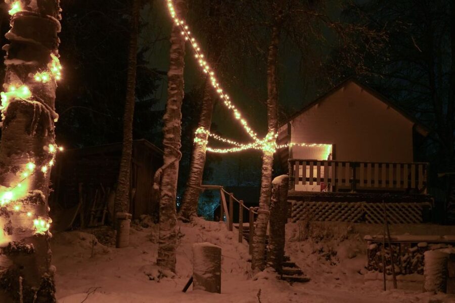Rovaniemi: Traditional Sauna and Ice Swimming Experience - The ice plunge: thrilling, brief, and not for everyone