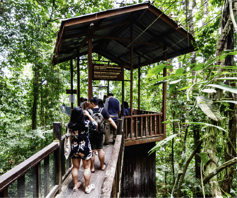 Sabah: Kinabalu Park, Hot Springs, and Cow Farm Day Tour - Is $89 good value for one day?