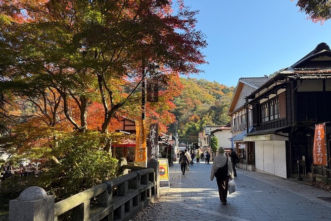 Samurai Guide Sho’s Mt. Takao Hike, Temple & Onsen from Shinjuku - Descending by chairlift, if the crowds allow