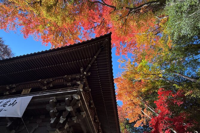 Samurai Guide Sho’s Mt. Takao Hike, Temple & Onsen from Shinjuku - Riding the train to Takaosanguchi