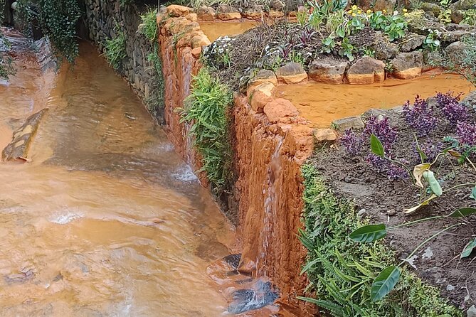 San Miguel : Vulcanic Experience in Furnas (W/ thermal baths) - Seeing steam and sulfur at Caldeira das Furnas