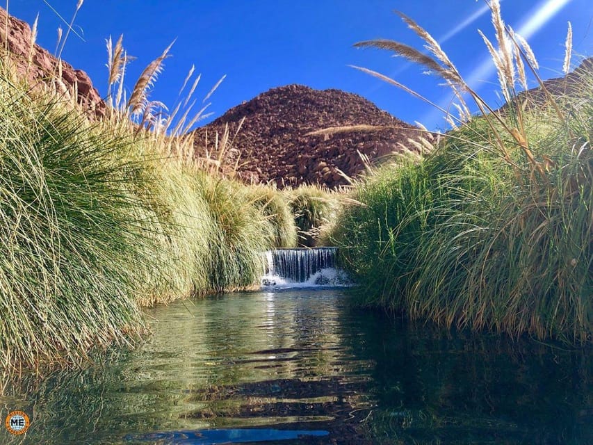 San Pedro de Atacama: Puritama Hot Springs - Who will enjoy this outing most