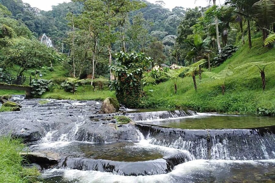Santa Rosa de Cabal Thermal Hot Springs - Who should book this experience?