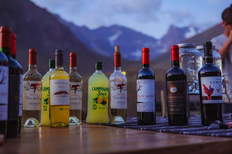 Santiago: Cajón del Maipo Hot Springs & Chilean Barbecue - Is $250 a fair price?