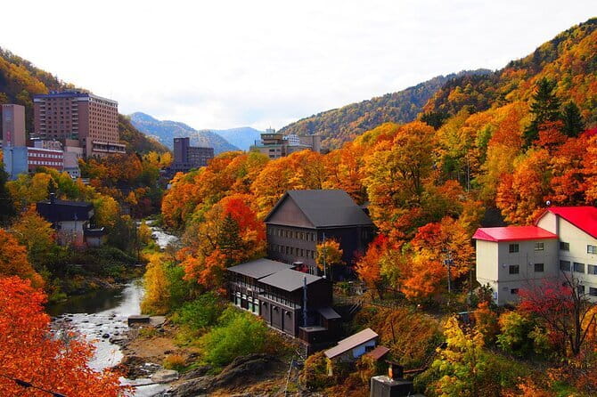 Sapporo Private Sightseeing Tour in Onsen with Special Package - How the $201.97 price measures up