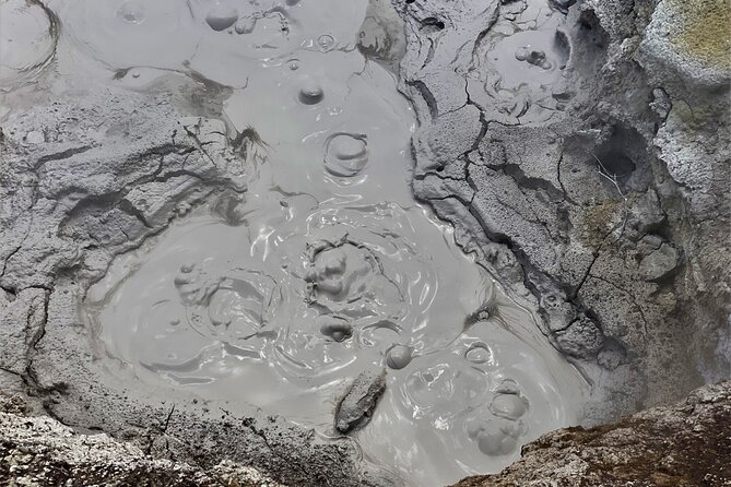 Self-Guided Geothermal Tour in Orakei Korako - Key points at a glance