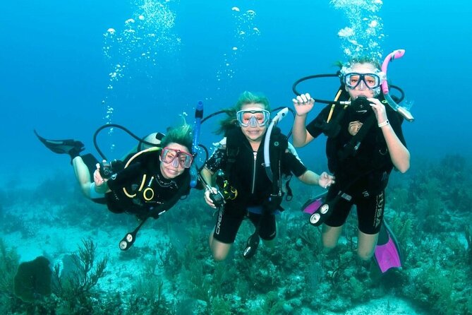 Semi Submarine Sea Trip and Parasailing & Turkish bath - Hurghada - Semi-submarine views and the Red Sea from below